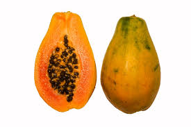 As the disease progresses, the lobes of the leaves become distorted and leaf size is greatly reduced. File Papaya Cross Section Bnc Jpg Wikimedia Commons