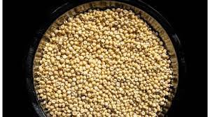 Health Benefits Of Jowar