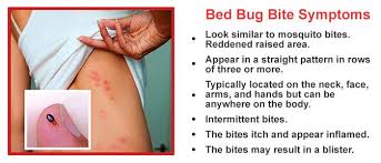 Find treatment for bed bug bites. How To Get Rid Of Bed Bug Bites Control Bed Bug
