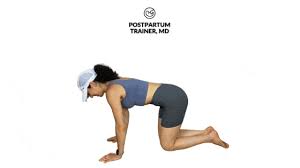Check spelling or type a new query. How To Get Rid Of Hip Dips 9 Exercises You Need To Know Postpartum Trainer Md
