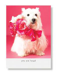 Valentines Has Gone To The Dogs Hooray For The Underdog Uses Rescue Dogs For Their Models In Greeting Cards Stationary Pet Adoption Notecard Set Rescue Dogs