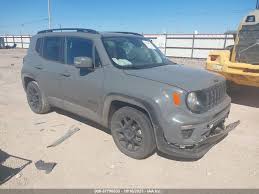 Image result for Sting Grey 2020 Renegade