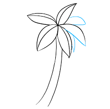 See more ideas about palm tree drawing, tree drawing, easy drawings. How To Draw A Palm Tree Really Easy Drawing Tutorial