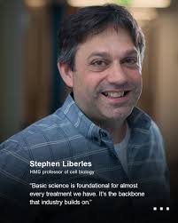 This image shows a cross-section of the mouse nasal epithelium. Olfactory  sensory neurons (yellow) detect volatile odorants and relay this  information via their axons (magenta) directly into the brain, where they  coalesce