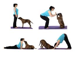 Press palms into bed, curl under toes. From Yoga To Doga