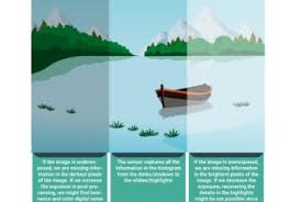 Conceptos Básicos de la Fotografía para Principiantes