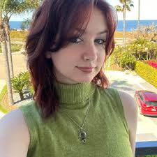 Who can recommend a cat groomer in Longmont, Colorado, for a long-haired  elderly cat with matted hair and knots?