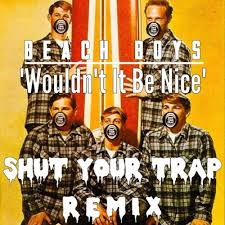 Wouldn't it be nice (remastered) · the beach boys. Beach Boys Wouldn T It Be Nice Shutyourtrap Remix By Officialshellzz
