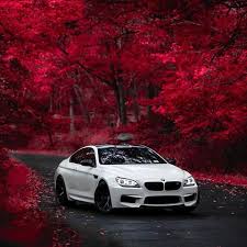 Bmw Bmw Instagram Photos And Videos Bmw M6 Bmw M6 Coupe Bmw