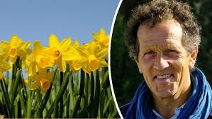 Monty says do NOT do this to daffodils this month but tackle in June instead