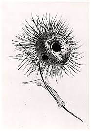 You can comeback home, i'll be standing by.. File Redon Les Fleurs Du Mal Flower Jpg Wikipedia