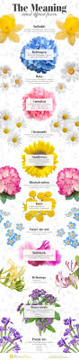 Check spelling or type a new query. Have You Wondered About The Meaning Of Different Flowers Of Course They Are Not Arbitrary Have A Look At Some Of The Most Well Known Flowers And Their Meaning On Inspirationde