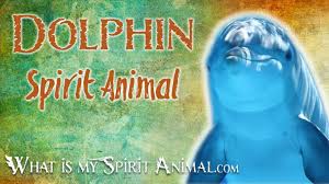 Maybe you would like to learn more about one of these? Dolphin Spirit Animal Dolphin Totem Power Animal Dolphin Symbolism Meanings Youtube