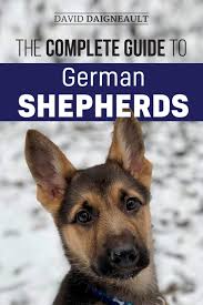 The Complete Guide To German Shepherds Selecting Training