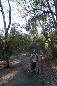 Bibbulmun e2e 10kg pack 1 why. The Long Way S Better Bibbulmun Track Wa Kalamunda To Mundaring Weir