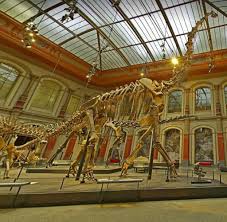 Von Frankfurt Bis Berlin Virtueller Rundgang Durch Museen Welt