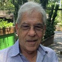 Daniel Singer Obituary