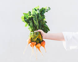 Root kitchen & wine bar supports local farms and crafts its products from fresh regional ingredients. Golden Roots Kitchen