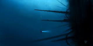 Deep Blue Sea Deep Blue Sea Blue Sea Deep Sea