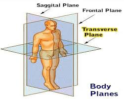 3 Planes Of Human Movement And Why The The Often Neglected Transverse Plane Is So Important Anatomy And Physiology Human Anatomy And Physiology Physiology