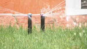 The amount and frequency of water that the seeds need to get will vary depending on where you live and how much rain you're expecting. Water Saving Tips For Your Lawn Kvii