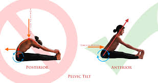 Maybe you would like to learn more about one of these? Yoga The Pelvis Eugene Yoga