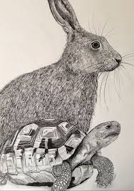 The Hare The Tortoise Pen Ink And Pencil Drawing By Clarissa Price Tortoise Drawing Animal Art Drawing Studies