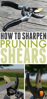 If Your Pruning Shears Have Gotten Dull Or If You Just Want To Keep Them Working As Effectively As Possible Pruning Shears Sharpen Garden Tools Garden Tools