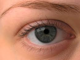 Keeping my eyelids flipped inside out for as long as i can. Eyelid Margin Inflammation Blepharitis Treatment Symp