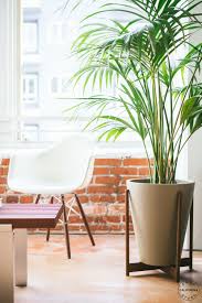Modernica Case Study Ceramic Funnel With Wood Stand Shown In Pebble Idees Pour La Maison Decoration Plante Decoration Interieure