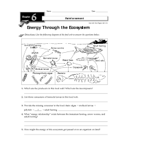 This worksheet teaches your students about what an ecosystem is. Energy Through The Ecosystem Worksheet For 3rd 8th Grade Science Worksheets 8th Grade Science Ecosystem Worksheets Worksheets Basic Applied Mathematics Go Math Student Edition Year 2 Math Assessment Worksheets Math Work For