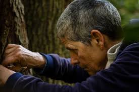 Plett ARTS Festival (@plettartsfestival) • Instagram photos and videos