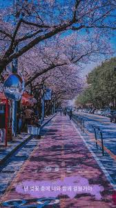 Lihat cuplikan layar, baca ulasan terbaru dari pelanggan, dan bandingkan peringkat untuk wallpaper bunga sakura. Wallpaper Bunga Sakura Korea Fotografi Alam Pemandangan Kota Gambar Latar Belakang