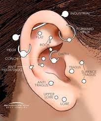 A Guide To The Different Types Of Ear Piercings Multiple Earrings Are On Trend Right Now Cool Ear Piercings Different Ear Piercings Tragus Surface Piercing