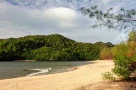 Wo sie auf langkawi keine angst vor quallen haben müssen und vieles mehr lesen sie nur hier. Malaysia Urlaub Unsere Tipps Fur Eine Gelungene Reise