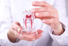 Hours may change under current circumstances Emergency Dentist Dothan Al Find A 24 Hour Dentist
