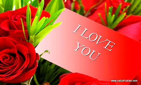 Rote Rosen Bilder In Hd Janu Name Wallpaper 800x481 Wallpapertip Archive of freely downloadable fonts.