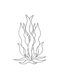 You can use our amazing online tool to color and edit the following kelp coloring pages. Seaweed Coloring Pages Download And Print Seaweed Coloring Pages