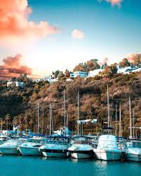 On The Foot Of Sidi Bou Said Hanging Village Around The Leisure Port Giving Access To The Bay Of Carthage Tunisia Morning Sidi Bou Said Tunisia Carthage