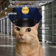 Policía: tienes derecho a una llamada. Yo: ama me voy a quedar a dormir con  conun un compa. POLICE El policía: El Ba Batimichi عر