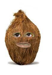 Annoying Orange Characters Cartoon Network Annoying Orange Cartoon Network Cartoon