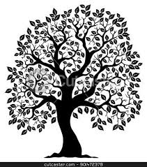Black And White Tree Images Clip Art Pin By Shirley Fletcher On Tattoo Ideas Tree Outline Family Tree Clipart Tree Drawing