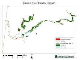 Building A Blueprint For Tidal Wetland And Salmon Habitat