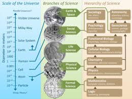 Branches Of Science Wikipedia The Free Encyclopedia