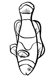 This coloring page belongs to these categories: Clownfish Coloring Page Animals Town Animals Color Sheet Clownfish Free Printable Coloring Pages Animals