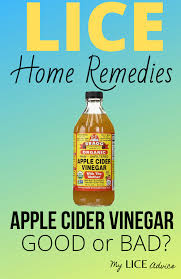 37 Home Remedies For Lice Find Out Which Ones Really Work In 2020 Lice Remedies Vinegar Lice Remedies