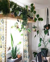 20 Good Ideas To Decorate Your House With Plants Huahuacat Blog Plant Decor Indoor Hanging Plants Diy Hanging Plants Indoor