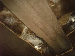 Pegarle el orgullo al que lo tiene herido. Techo Spa Picture Of Orgullo Rural Bermellar Tripadvisor