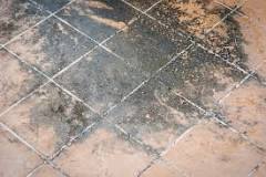 Is Mold Under Flooring Dangerous | Detection & Health Risks
