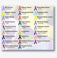 Today's cancer research ranges from epidemiology, molecular bioscience to clinical trials to evaluate and compare applications of the various cancer treatments including. Does The Pink Ribbon Mean Png Image With Transparent Background Toppng
